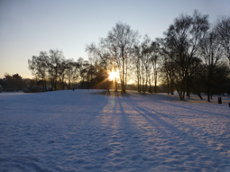 Photo9